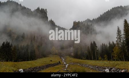 Mentre la nebbia si insinua dolcemente sul bosco di Rocca Pietore, il paesaggio assume una bellezza ultraterrena, con alberi che emergono come ombre in una quiete, dr Foto Stock