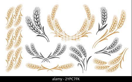 Orecchie di grano di raccolta di simboli. Set di elementi decorativi per la progettazione di etichette o imballaggi Illustrazione Vettoriale