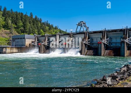 L'acqua dalla Middle Fork delle cascate del fiume Willamette attraverso le dighe di Dexter a Dexter, Oregon, USA Foto Stock