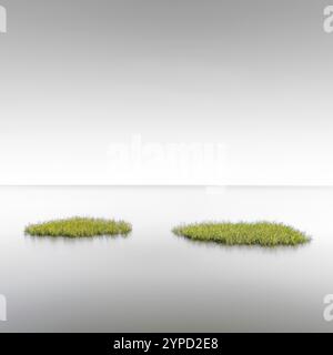 Prati in erba sul mudflats nel Parco Nazionale del Mare di Schleswig-Holstein Wadden, Sito Patrimonio dell'Umanità dell'UNESCO, Sylt, Isola Frisone Nord, Venerdì Nord Foto Stock