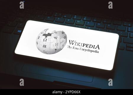 20 maggio 2024, Brasile. In questa immagine, il logo di Wikipedia viene visualizzato sullo schermo di uno smartphone Foto Stock