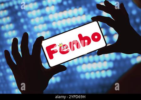 20 maggio 2024, Brasile. In questa immagine, il logo Fenbo Holdings Limited viene visualizzato sullo schermo di uno smartphone Foto Stock