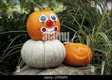 Zucche dipinte con volti allegri, disposte creativamente in natura, borken, muensterland, germania Foto Stock