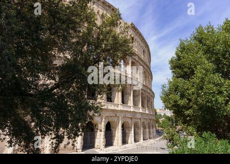 Il grande Colosseo Romano, noto anche come Anfiteatro Flavio, delimitato da alberi a Roma, in Italia, in una splendida giornata con un cielo blu profondo Foto Stock