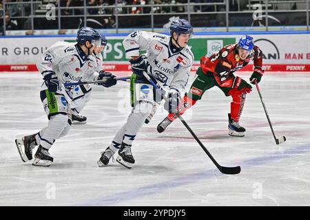 Augusta, Germania. 29 novembre 2024. AM Puck Joshua SAMANSKI (Straubing Tigers #8)/DEL: Augsburger Panther - Straubing Tigers, Curt Frenzel Stadion AM 29.11.2024 crediti: dpa/Alamy Live News Foto Stock