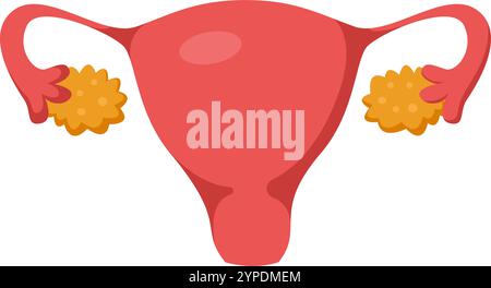 Illustrazione medica che rappresenta organi riproduttivi femminili tra cui utero, tubi di Falloppio, fimbriae e ovaie che rilasciano una cellula uovo durante l'ovulazione Illustrazione Vettoriale