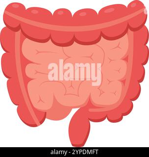 Illustrazione medica che rappresenta l'intestino umano, evidenziando il colon e l'appendice, utile per progetti educativi e sanitari correlati Illustrazione Vettoriale