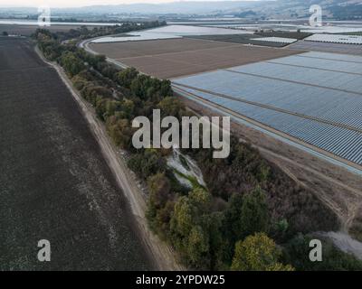 Una vista aerea del fiume Pajaro e dei campi agricoli che lo circondano su tutti i lati vicino a Watsonville, California, Stati Uniti. Foto Stock