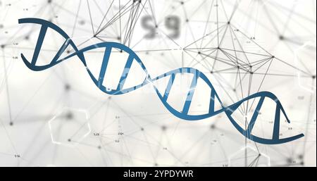 Immagine della rete di connessioni e del filamento di dna su sfondo bianco Foto Stock