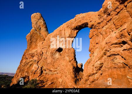 Torretta Arch nella sezione Windows del Parco Nazionale degli Arches sotto il cielo blu Foto Stock