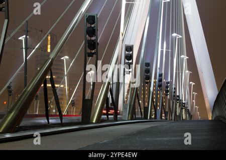 Vista della città di Rotterdam e di Erasmusbridge al tramonto, Paesi Bassi Foto Stock