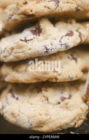 Deliziosi biscotti al cioccolato appena sfornati in una pila gustosa Foto Stock