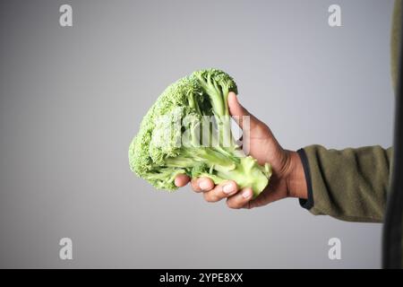 Una mano che tiene saldamente i broccoli freschi su uno sfondo morbido e neutro Foto Stock