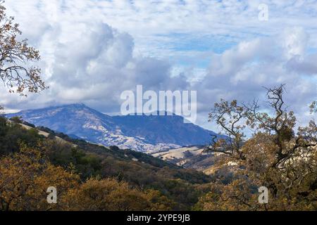 Monte Diablo via Morgan Territory Regional Preserve. Clayton, Contea di Contra Costa, California, Stati Uniti. Foto Stock