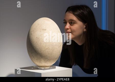 Londra, Regno Unito. 29 novembre 2024. LONDRA, REGNO UNITO - 29 NOVEMBRE 2024: Un membro dello staff guarda al Large Elephant Bird Egg, Madagascar pre-XVII secolo (stima £ 30.000-50.000) durante una chiamata fotografica alla casa d'aste Christie's prima delle vendite della settimana classica a Londra, Regno Unito, il 29 novembre 2024. (Foto di Wiktor Szymanowicz/NurPhoto) credito: NurPhoto SRL/Alamy Live News Foto Stock