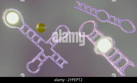 Gli Aptamer sono progettati per legarsi all'analita target. Un fluoroforo, una molecola che emette luce quando eccitato, è attaccato all'aptamer; rendering 3d. Foto Stock