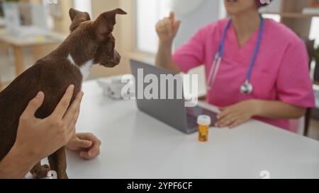 Una donna in una clinica veterinaria in uniforme rosa parla con un cliente che tiene in mano il cane mentre è seduta alla scrivania in casa. Foto Stock