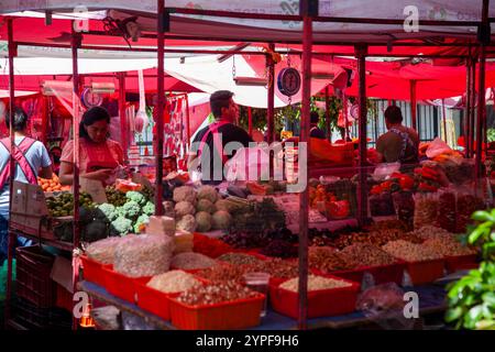 Tianguis de Condesa a Colonia Condesa il martedì a città del Messico, Messico Foto Stock