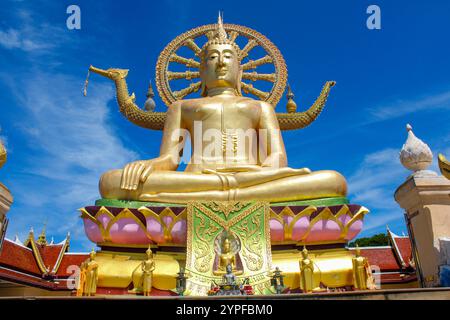 Il Wat Phra Yai, noto in inglese come il Tempio del grande Buddha, è un tempio buddista di Ko Phan, a Koh Samui. La statua è alta 12 metri (39 piedi) e dipinta d'oro, da quando è stata costruita nel 1972, è diventata una delle principali attrazioni turistiche di Ko Samui. Foto Stock