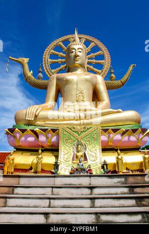 Il Wat Phra Yai, noto in inglese come il Tempio del grande Buddha, è un tempio buddista di Ko Phan, a Koh Samui. La statua è alta 12 metri (39 piedi) e dipinta d'oro, da quando è stata costruita nel 1972, è diventata una delle principali attrazioni turistiche di Ko Samui. Foto Stock