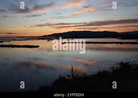 Tramonto con ciuffi di nuvole che si riflettono nelle acque di una laguna nel Delta dell'Ebro (Spagna) Foto Stock