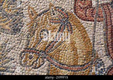 Dettaglio del mosaico raffigurante la testa di un cavallo nel Museo Nazionale d'Arte Romana a Merida, Spagna Foto Stock