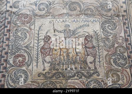 Mosaico raffigurante gli auriga, come si vede nel Museo Nazionale d'Arte Romana a Merida, Spagna Foto Stock