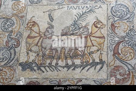 Mosaico raffigurante gli auriga, come si vede nel Museo Nazionale d'Arte Romana a Merida, Spagna Foto Stock