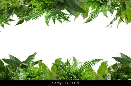 Bordo verde della foglia isolato su sfondo bianco. Tracciati di ritaglio inclusi. cornice di foglie, mockup verde con foglie di edera su sfondo trasparente Foto Stock