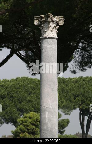 Esempio di colonne romane trovate a Ostio Antica vicino Roma Italia. Tutto costruito a.C. e' noto per l'eccellente conservazione dei suoi antichi edifici, m Foto Stock