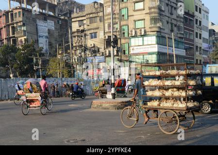 Un uomo che trasporta polli vivi su un risciò in bicicletta a Dacca, Bangladesh. Foto Stock