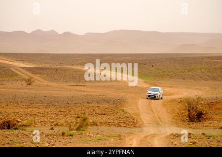 Auto su una pista attraverso l'hamada / deserto tra Zagora e M'Hamid nel sud del Marocco Foto Stock