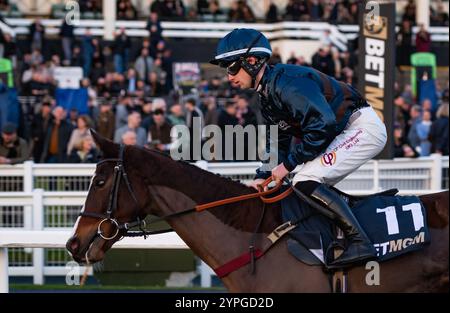 Newcastle, Regno Unito, sabato 30 novembre 2024; Frero Banbou e il fantino Ned Fox vincono la BetMGM Rehearsal handicap Chase per la addestratrice Venetia Williams e il proprietario Mr P. Davies. Crediti JTW equine Images / Alamy. Foto Stock