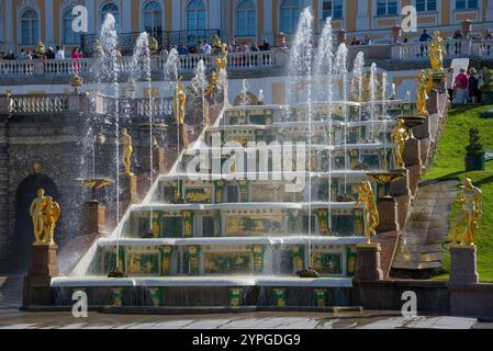 PETERHOF, RUSSIA - 13 GIUGNO 2024: Fontane della grande cascata nel complesso del parco. Petrodvorets (San Pietroburgo) Foto Stock