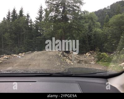 Una tortuosa strada sterrata attraverso una lussureggiante foresta conduce a una destinazione invisibile. Alberi alti incorniciano il percorso tra pietre e vegetazione, suggerendo la bellezza della natura Foto Stock