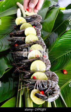 Un'elegante esposizione mostra freschi gamberi tigre posti elegantemente su vivaci foglie di banana, guarniti con fette di lime e peperoncini rossi. Questo ambiente colorato mette in risalto l'essenza della cucina asiatica. Foto Stock