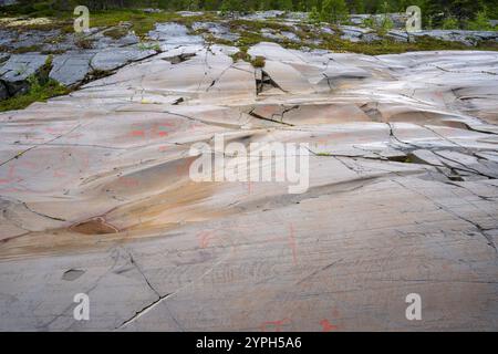 L'arte rupestre dell'alta in Norvegia Foto Stock