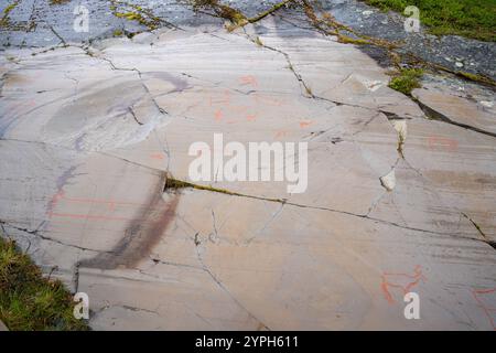 L'arte rupestre dell'alta in Norvegia Foto Stock