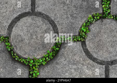 Abstract pattern. Grass grows between concrete tiles of the path Foto Stock
