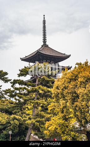 La Pagoda a cinque piani presso il complesso del tempio buddista Kofukuji a Nara, in Giappone. Foto Stock
