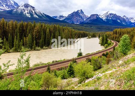 Un treno sta viaggiando lungo un binario vicino a un fiume. Il treno è circondato da alberi e montagne sullo sfondo. La scena è tranquilla e serena Foto Stock