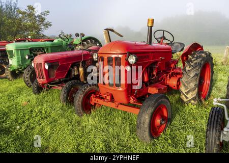 Vecchio trattore agricolo, Burguete, Santiago's Road, Navarra, Spagna, Europa Foto Stock