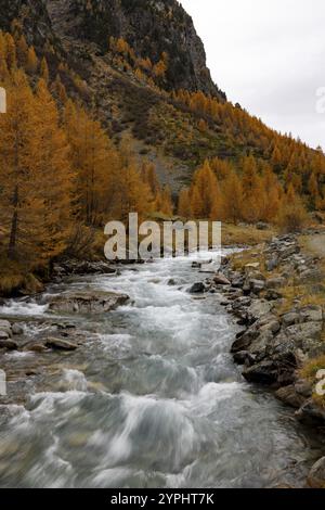 Susasca selvatica, torrente sotto il passo Flueela, Val Susaca, S-chanf, Engadina, Graubuenden, Svizzera, Europa Foto Stock