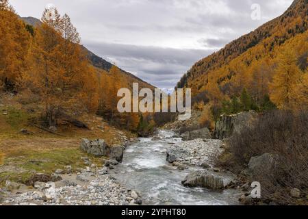 Susasca selvatica, torrente sotto il passo Flueela, Val Susaca, S-chanf, Engadina, Graubuenden, Svizzera, Europa Foto Stock