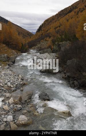 Susasca selvatica, torrente sotto il passo Flueela, Val Susaca, S-chanf, Engadina, Graubuenden, Svizzera, Europa Foto Stock