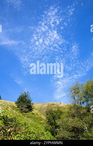 Guarda direttamente dall'alto un'infinità di nuvole in un cielo blu, con un prato inclinato in primo piano. Foto Stock