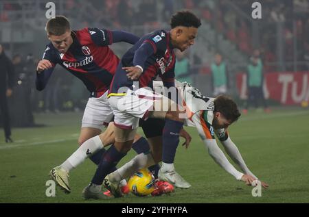 Bologna, Italia. 30 novembre 2024. Dan Ndoye di Bologna durante la partita italiana di serie A Enilive tra Bologna f.c. e Venezia allo Stadio DallÕAra di Bologna, Italia settentrionale, sabato 30 novembre, 2024. sport - calcio - (foto Michele Nucci credito: LaPresse/Alamy Live News Foto Stock