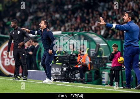 Portogallo. 30 novembre 2024. Vasco Matos allenatore del Santa Clara durante la Liga Portugal Betclic match tra Sporting CP e CD Santa Clara all'Estadio Jose de Alvalade il 30 novembre 2024 a Lisbona, Portogallo. Liga Portugal Betclic - Sporting CP vs CD Santa Clara (Valter Gouveia/SPP) crediti: SPP Sport Press Photo. /Alamy Live News Foto Stock