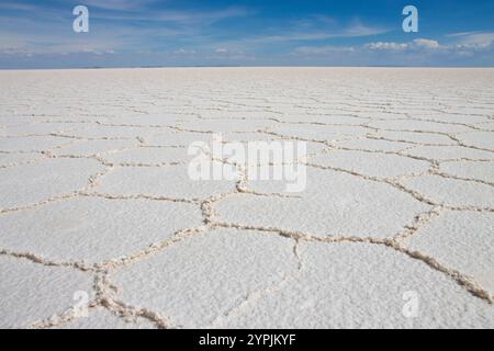 Ampia vista delle incontaminate distese di sale bianco di Salar de Uyuni sotto un cielo blu brillante, la Bolivia, che mostra il deserto salato più grande del mondo. Foto Stock