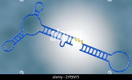 Rendering 3D di una chimera aptamer-shRNA, una nuova piattaforma terapeutica che sfrutta la specificità degli aptamers e la potenza dell'interferenza RNA. Foto Stock